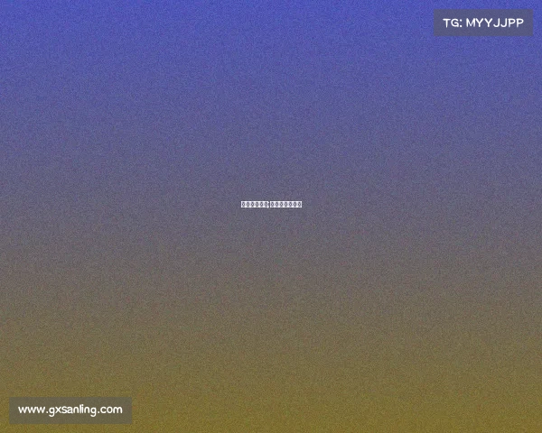 葡萄牙队赛事;葡萄牙比赛阵容