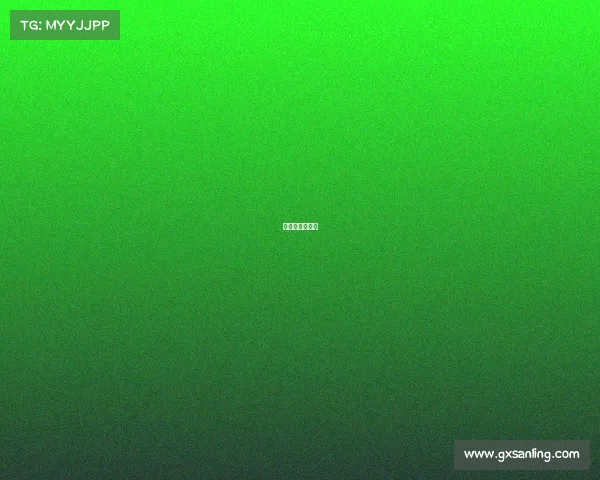 越野摩托锦标赛